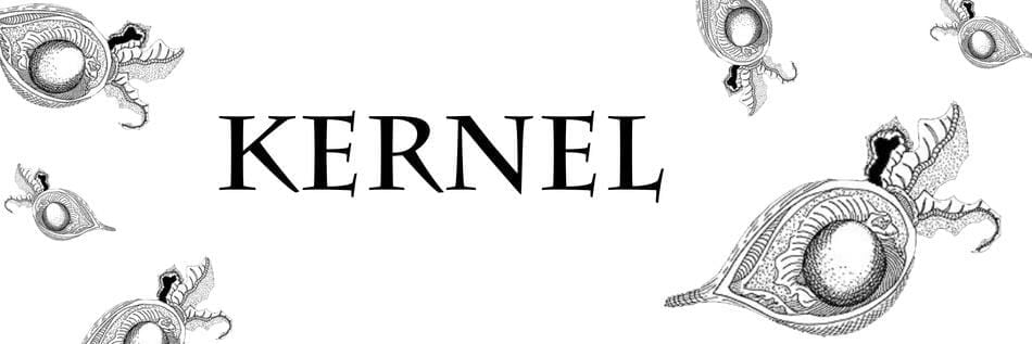 kernel retrieve timeslice used